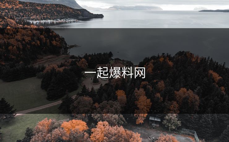 一起爆料网