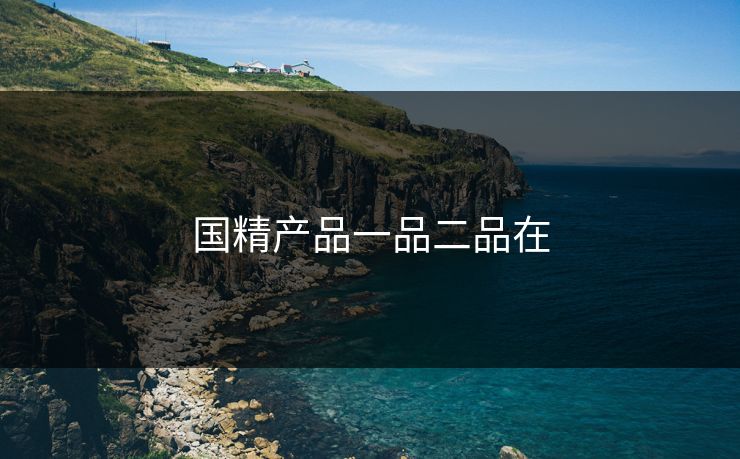 国精产品一品二品在