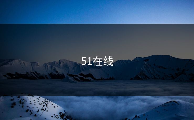 51在线