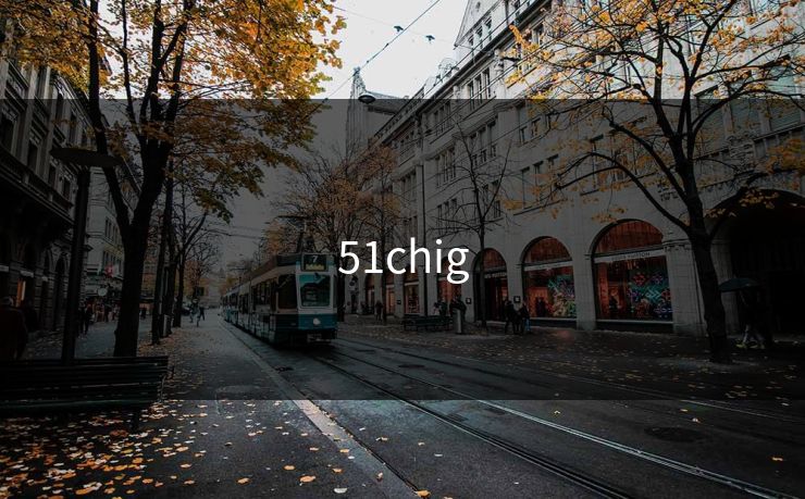 51chig 51chig