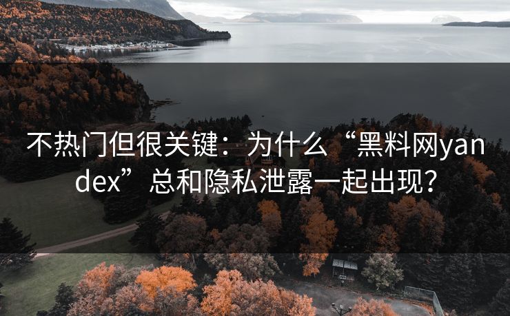 不热门但很关键:为什么“黑料网yandex”总和隐私泄露一起出现? 不热门但很关键:为什么“黑料网yandex”总和隐私泄露一起出现?